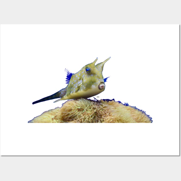 Devil fish underwater world / Swiss Artwork Photography Wall Art by RaphaelWolf